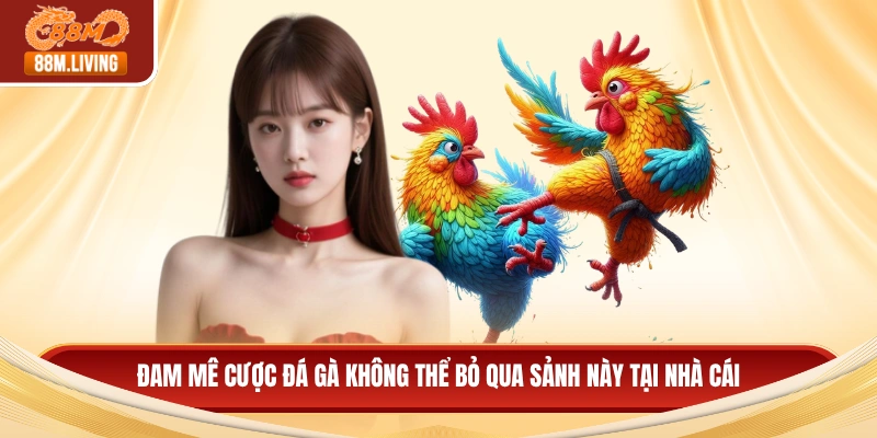 Đam mê cược đá gà không thể bỏ qua sảnh này tại nhà cái